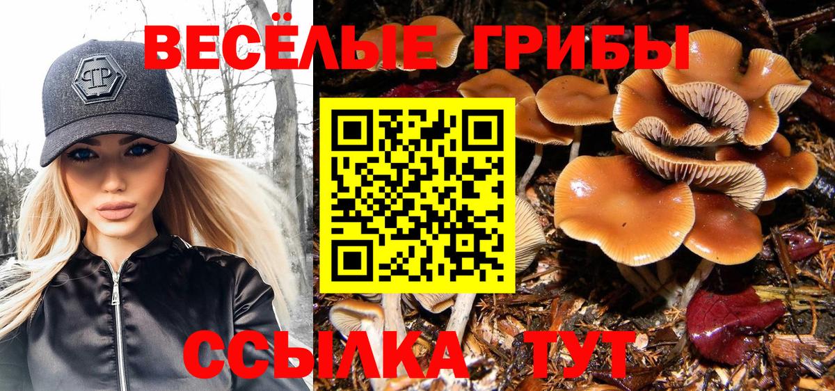 Псилоцибиновые грибы мухоморы  Вход с VPN  Новочеркасск 
